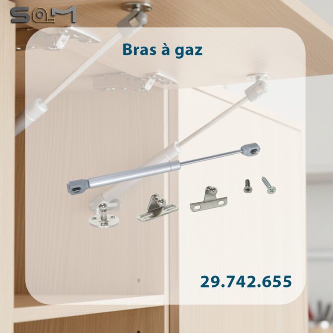 Bras a gaz