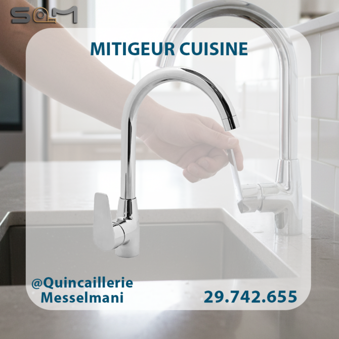 mitigeur de cuisine