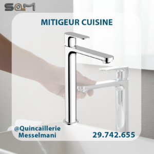 mitigeur de cuisine