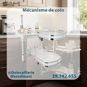Mécanisme de Coin starax