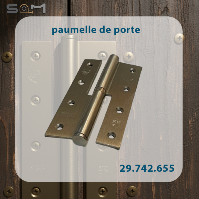 Paumelle de porte 140
