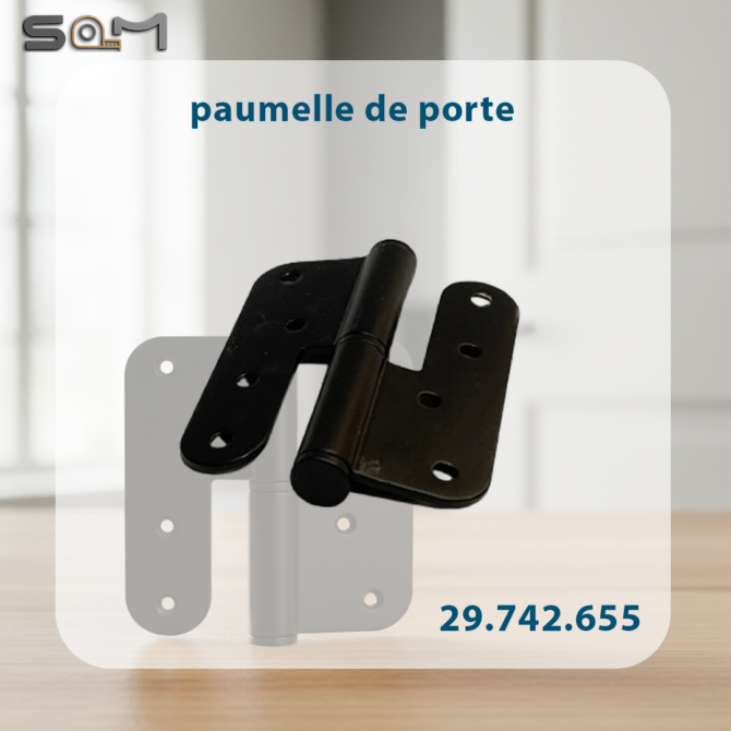 paumelle de porte noir DELIA (INOX)