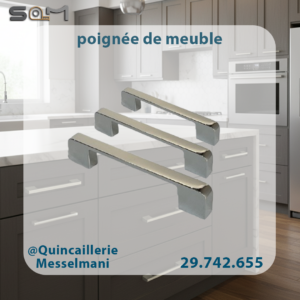poignée de meuble chrome REF: 8843