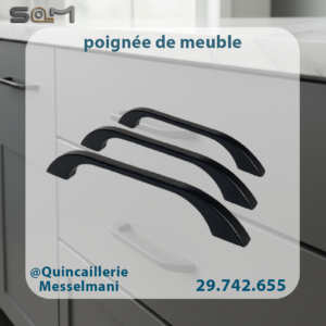 poignée de meuble (noir)