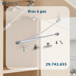 Bras a gaz